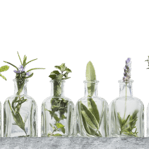 basis workshop aromatherapie