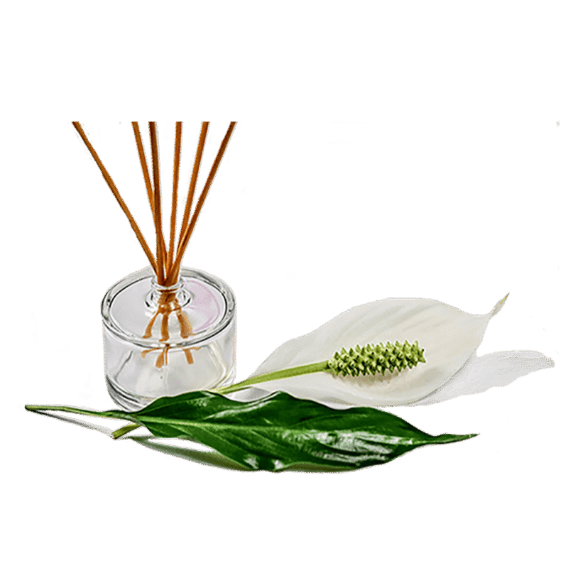 Workshop creëer je eigen parfum