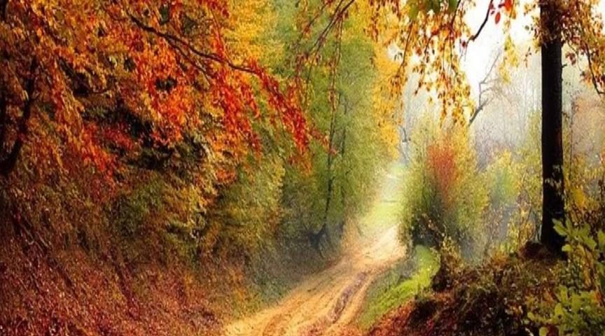 Herfst: geef je weerstand een boost